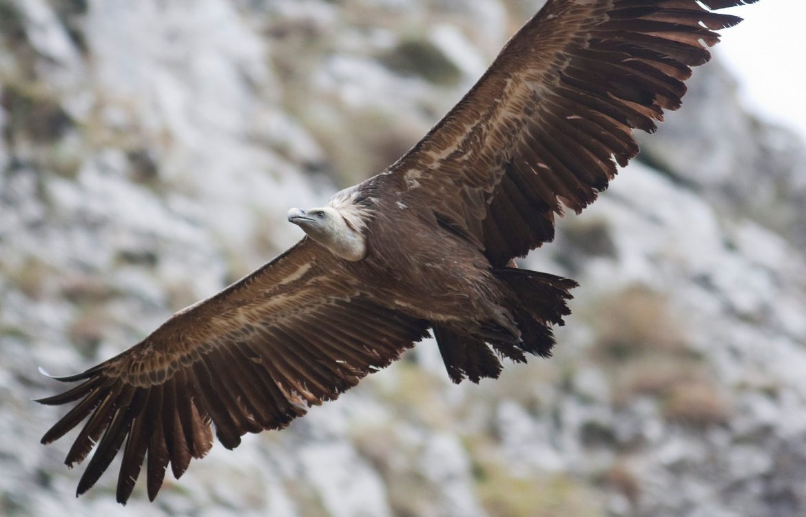 894926 617606024920639 66321874 o