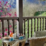 Apartamentos Rio Aliso apartamento 120210313_092144 Foto Apartamentos-Rio-Aliso-apartamento-1