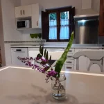 Apartamentos Rio Aliso apartamento 2APTO 2 COCINA (4) Foto Apartamentos-Rio-Aliso-apartamento-2